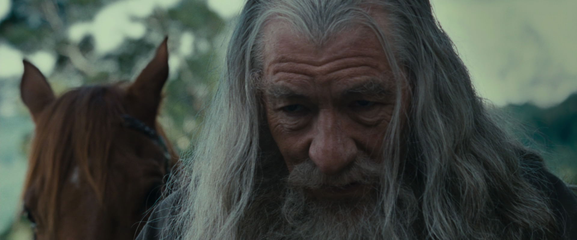 The Lord of the Rings: The Fellowship of the Ring (2001) HD screenshot 5420