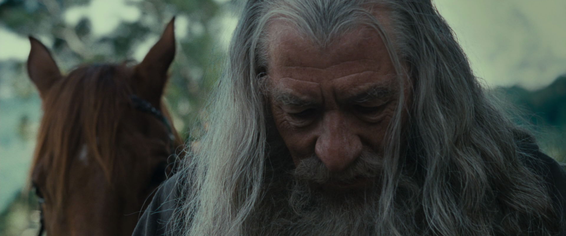 The Lord of the Rings: The Fellowship of the Ring (2001) screencap 5421