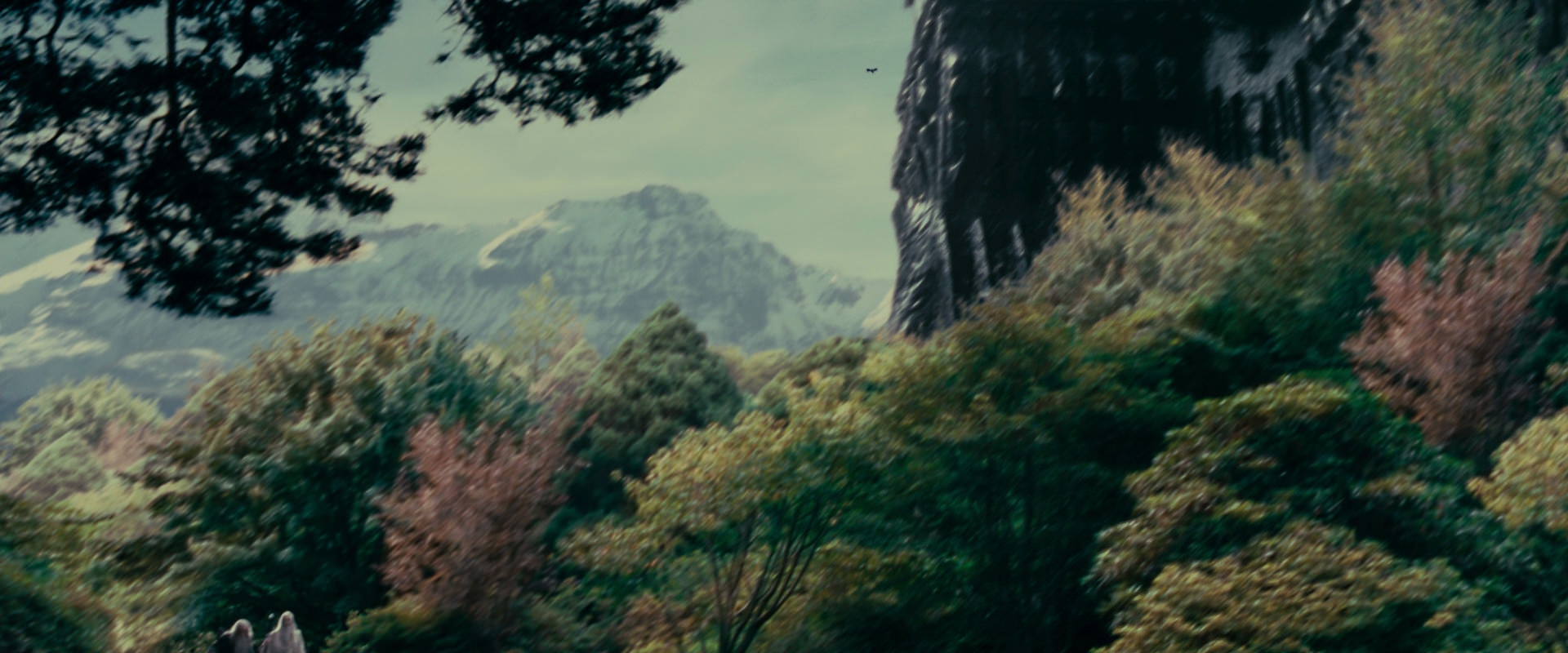 The Lord of the Rings: The Fellowship of the Ring (2001) HD screenshot 5429