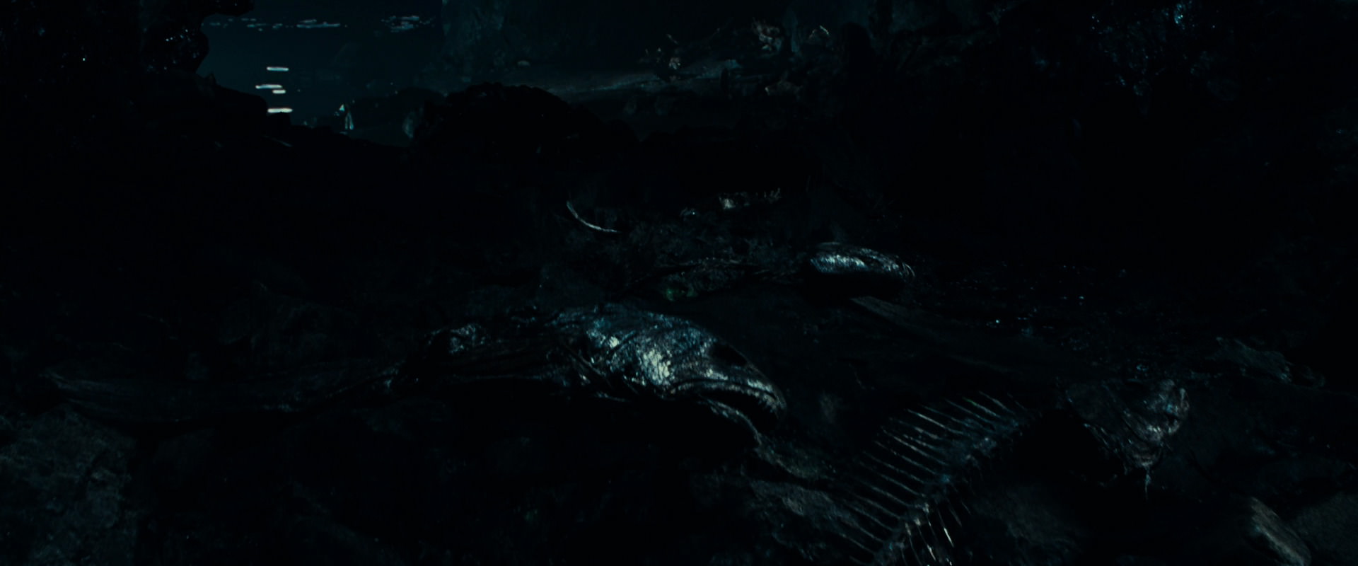 The Lord of the Rings: The Fellowship of the Ring (2001) screencap 543