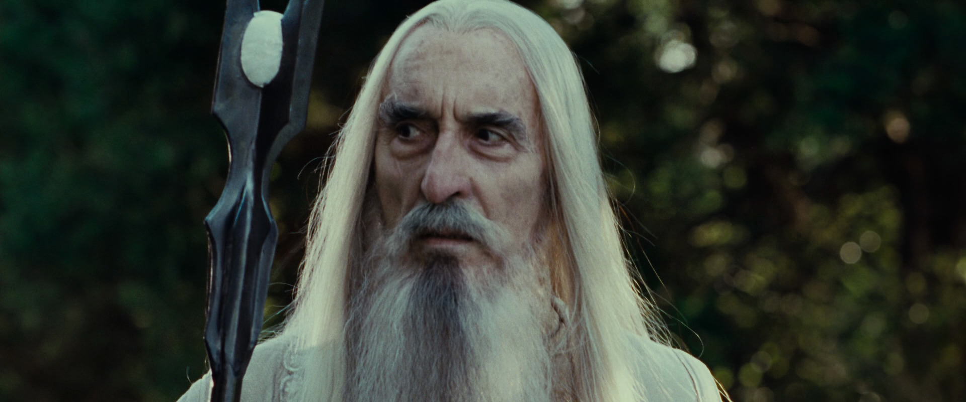 The Lord of the Rings: The Fellowship of the Ring (2001) screencap 5445