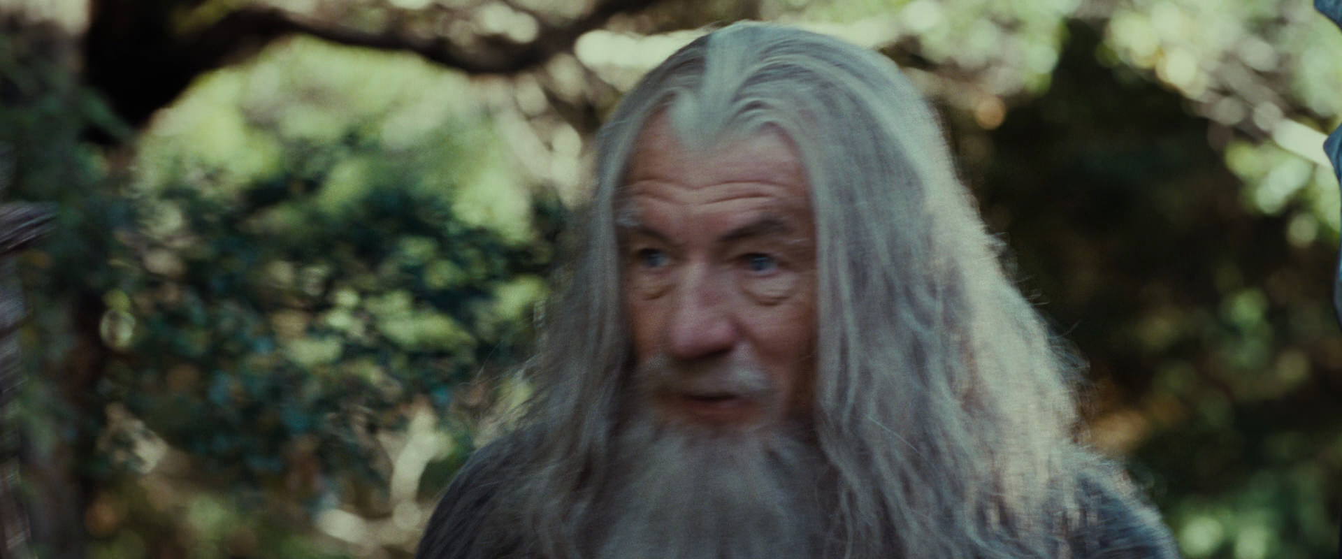 The Lord of the Rings: The Fellowship of the Ring (2001) movie still 5449