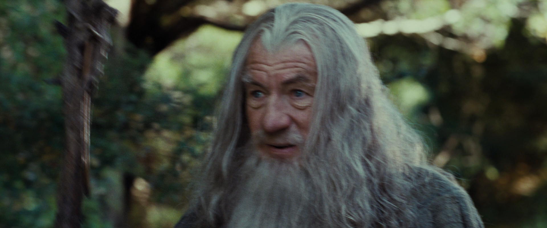 The Lord of the Rings: The Fellowship of the Ring (2001) HD screenshot 5450