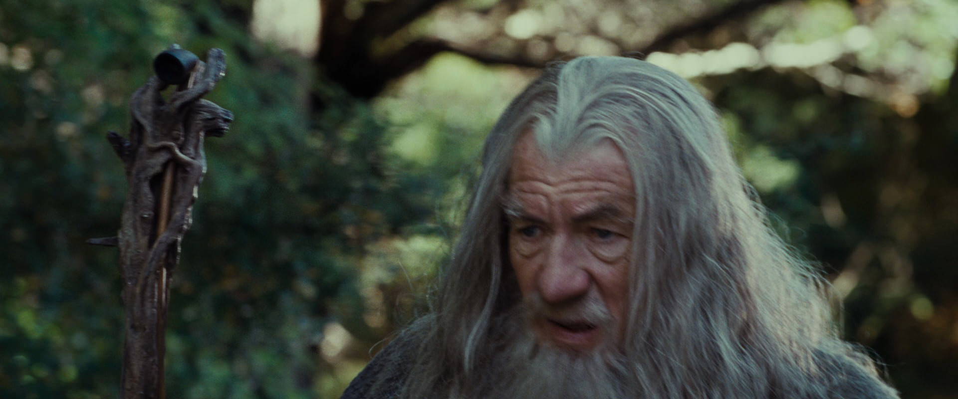 The Lord of the Rings: The Fellowship of the Ring (2001) screencap 5451