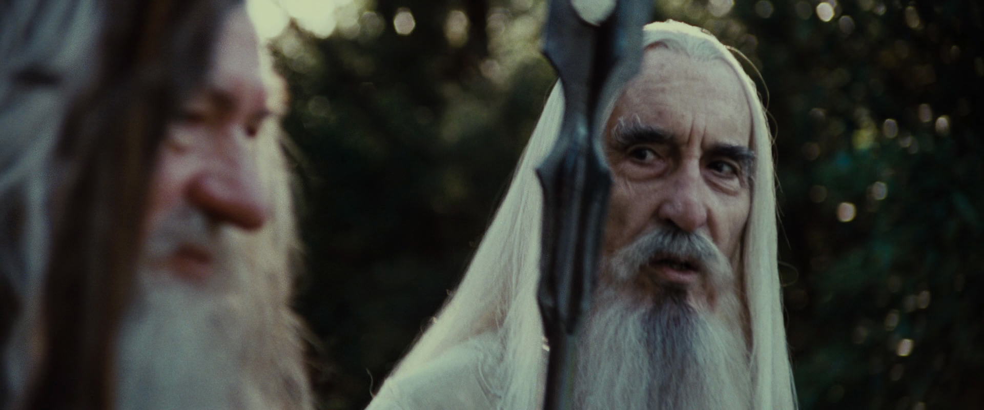 The Lord of the Rings: The Fellowship of the Ring (2001) screencap 5457