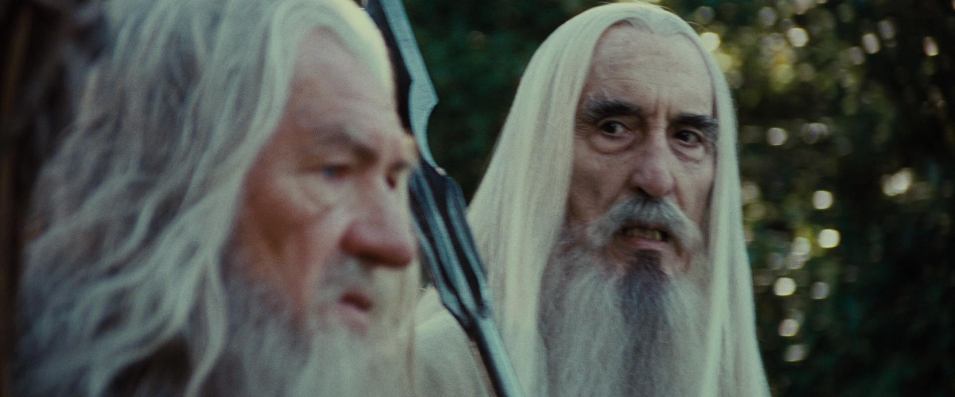 The Lord of the Rings: The Fellowship of the Ring (2001) HD screenshot 5462