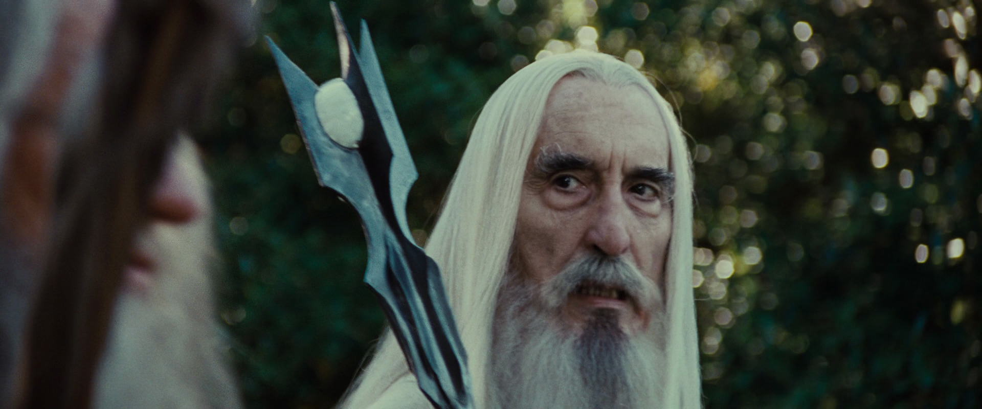 The Lord of the Rings: The Fellowship of the Ring (2001) screencap 5463