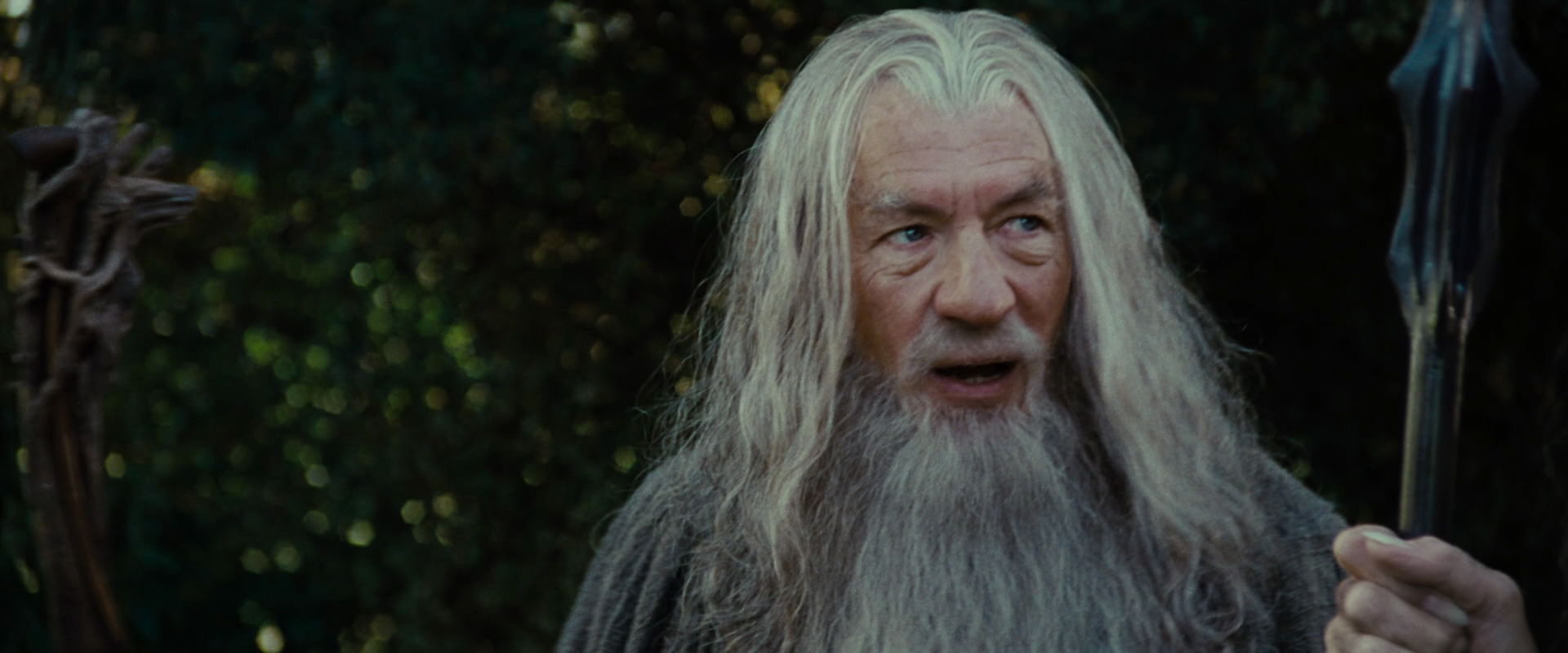 The Lord of the Rings: The Fellowship of the Ring (2001) screencap 5469