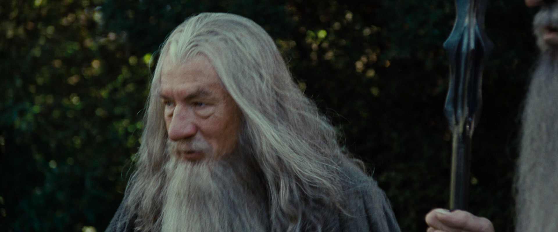 The Lord of the Rings: The Fellowship of the Ring (2001) screencap 5472