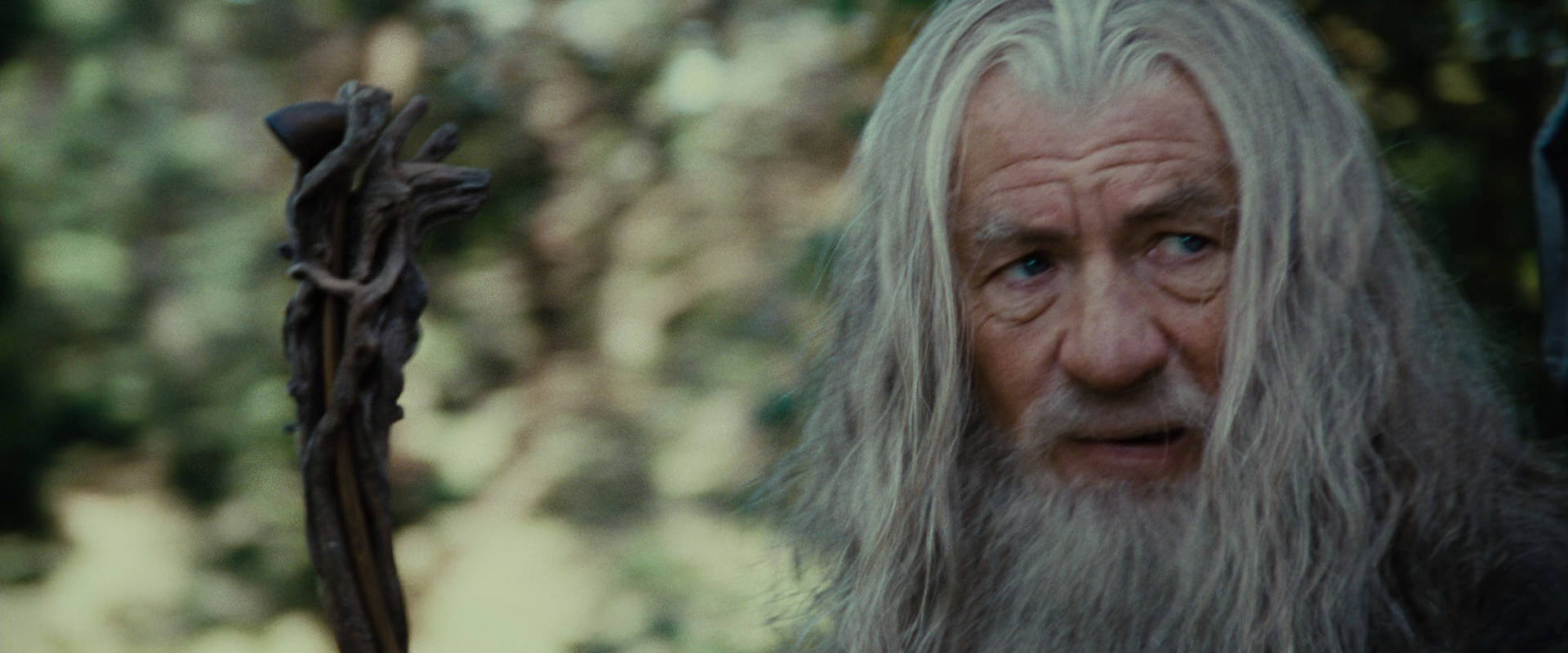 The Lord of the Rings: The Fellowship of the Ring (2001) screencap 5478