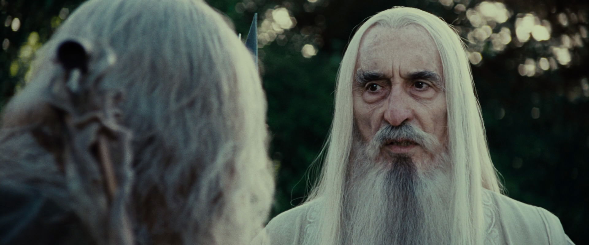 The Lord of the Rings: The Fellowship of the Ring (2001) screencap 5481