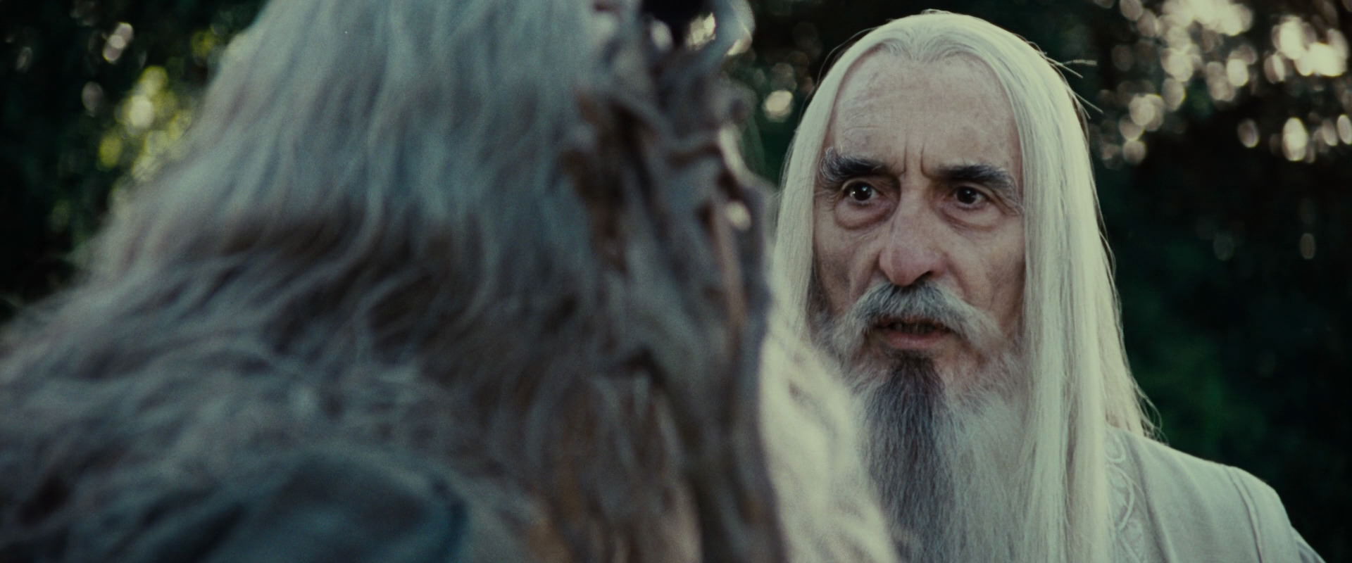 The Lord of the Rings: The Fellowship of the Ring (2001) HD screenshot 5483
