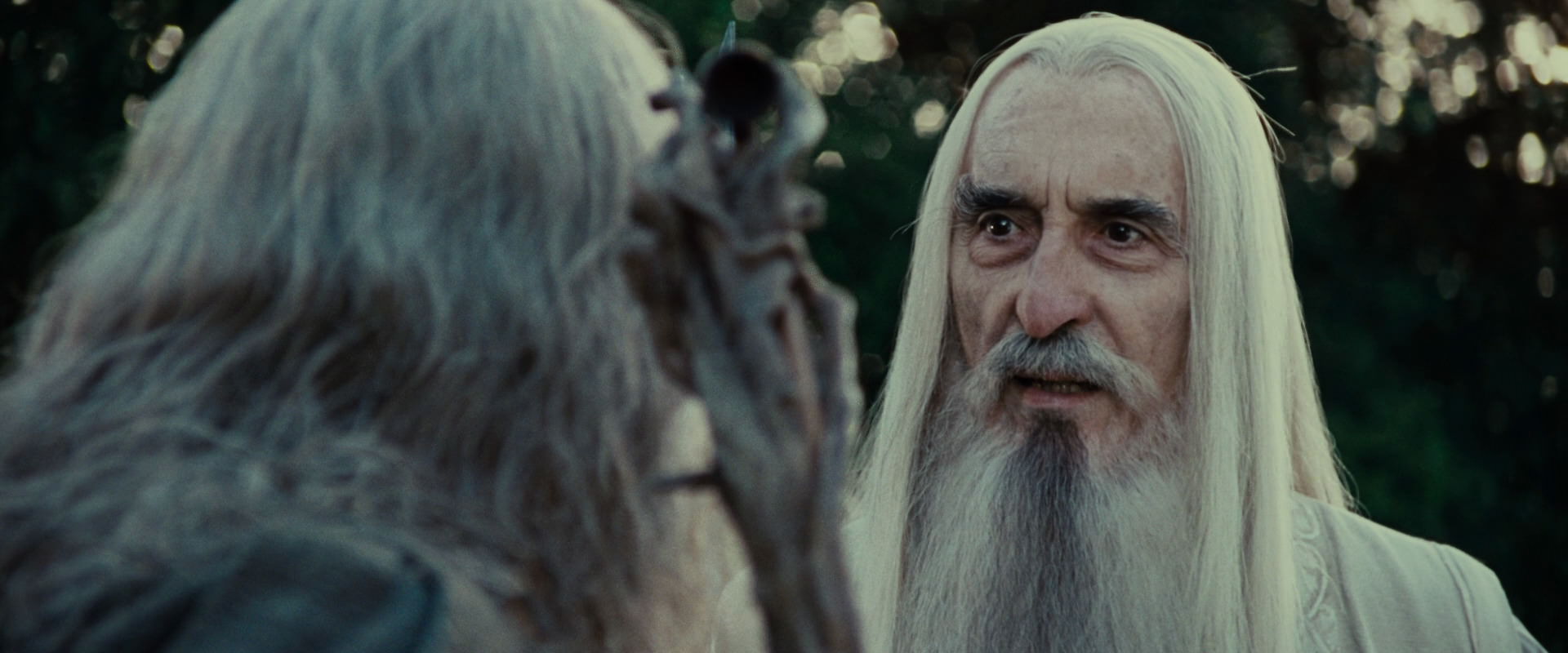 The Lord of the Rings: The Fellowship of the Ring (2001) screencap 5484