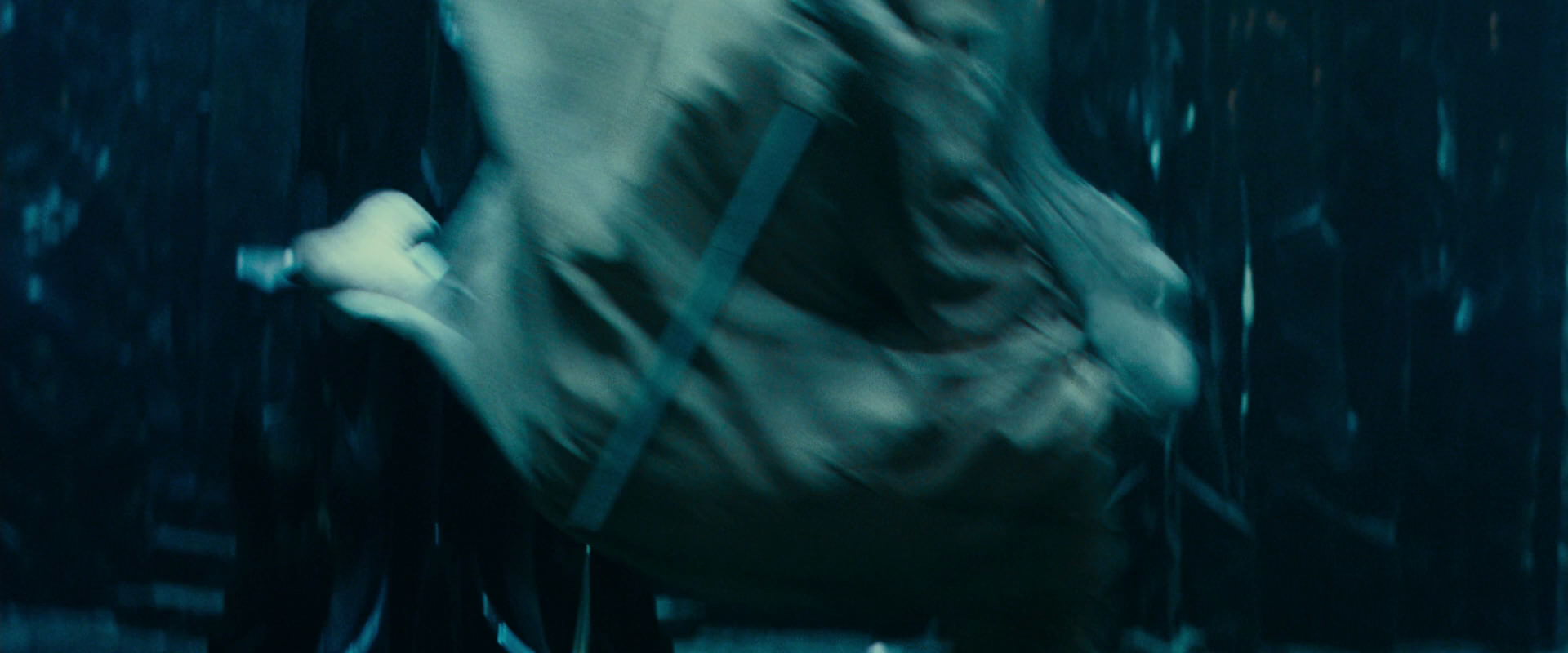 The Lord of the Rings: The Fellowship of the Ring (2001) screencap 5823