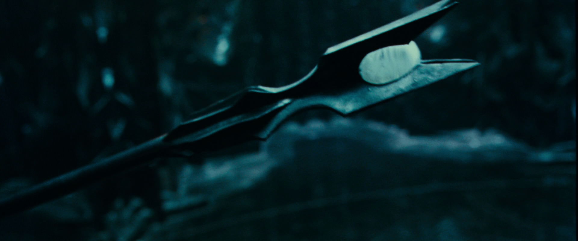 The Lord of the Rings: The Fellowship of the Ring (2001) screencap 5829