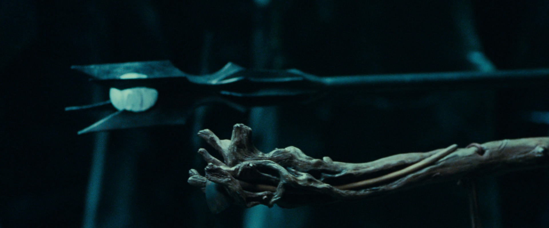 The Lord of the Rings: The Fellowship of the Ring (2001) screencap 5865