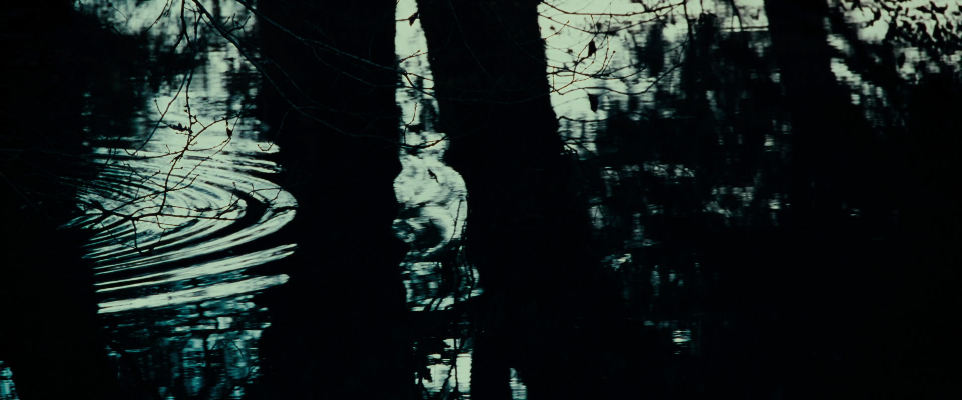 The Lord of the Rings: The Fellowship of the Ring (2001) screencap 591