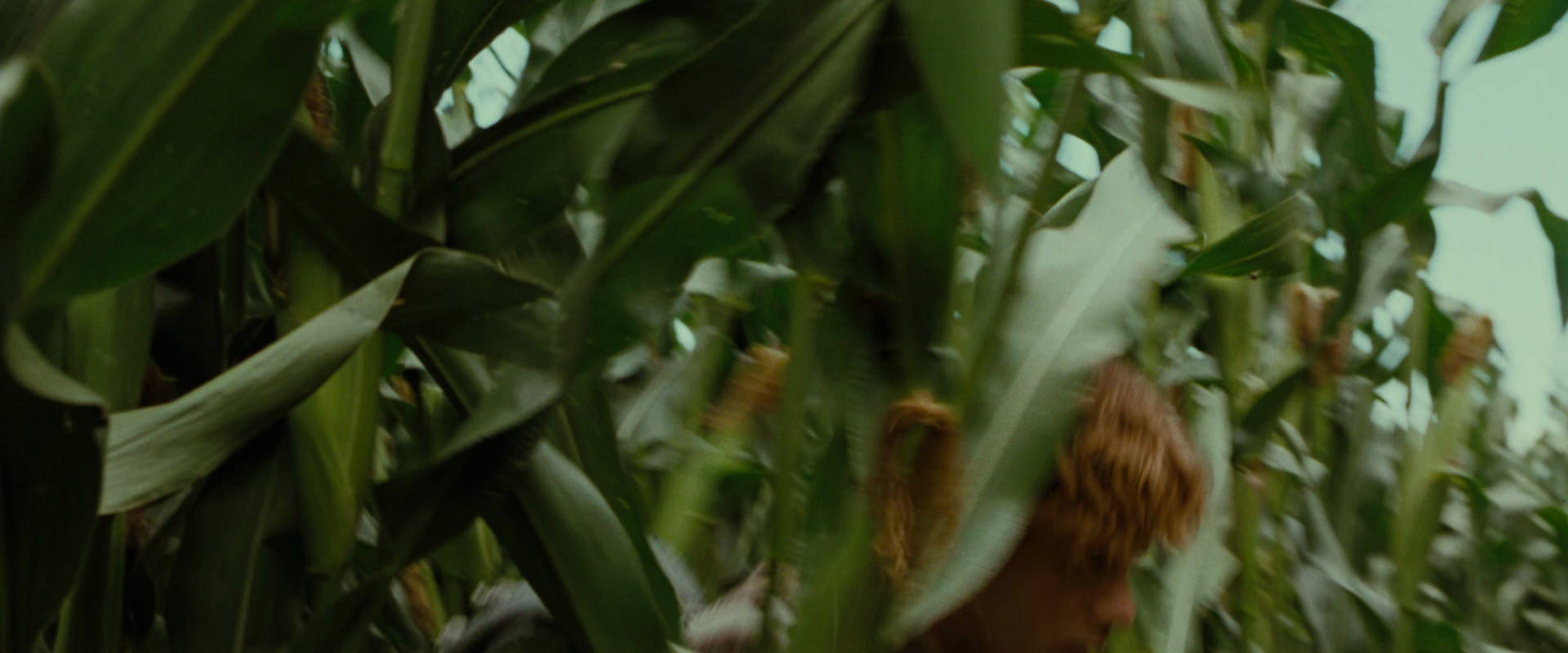 The Lord of the Rings: The Fellowship of the Ring (2001) screencap 5913