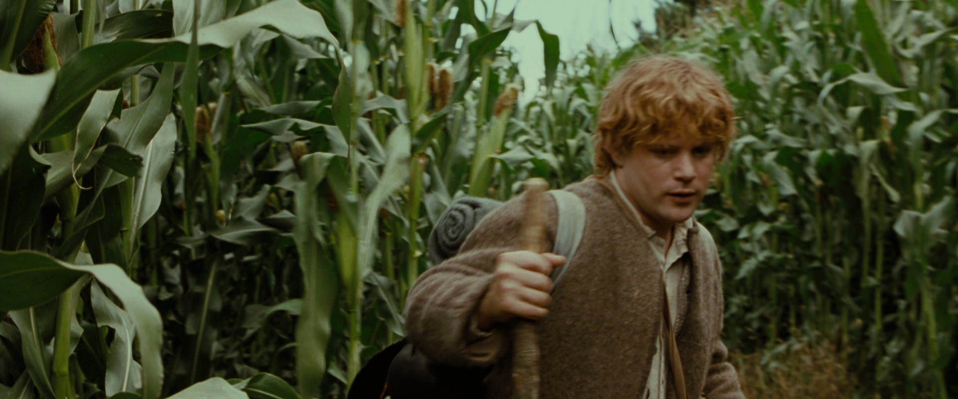 The Lord of the Rings: The Fellowship of the Ring (2001) HD screenshot 5915