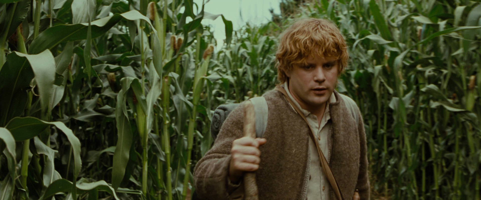 The Lord of the Rings: The Fellowship of the Ring (2001) screencap 5916