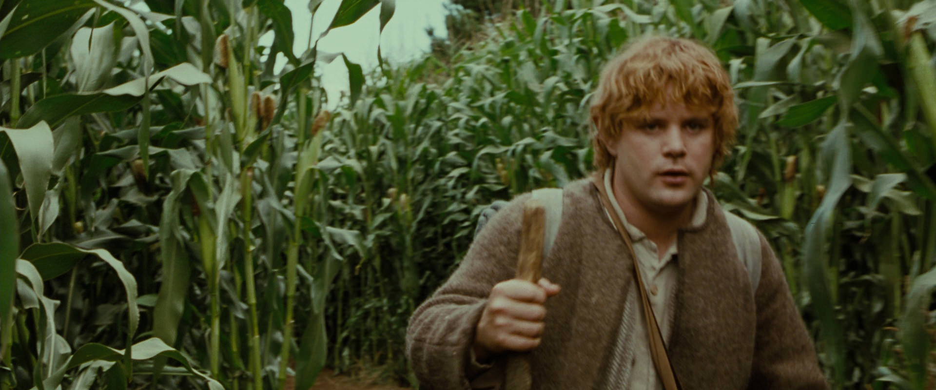 The Lord of the Rings: The Fellowship of the Ring (2001) movie still 5917