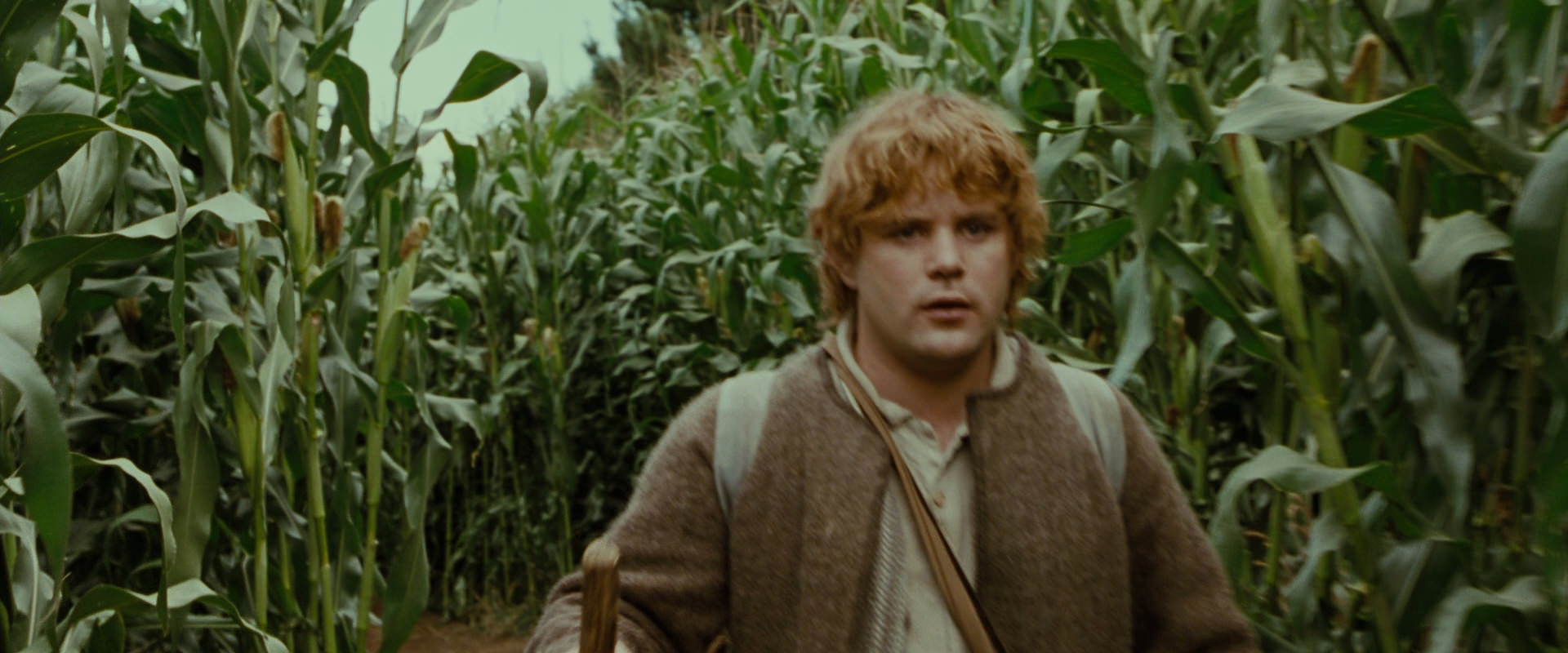 The Lord of the Rings: The Fellowship of the Ring (2001) HD screenshot 5918