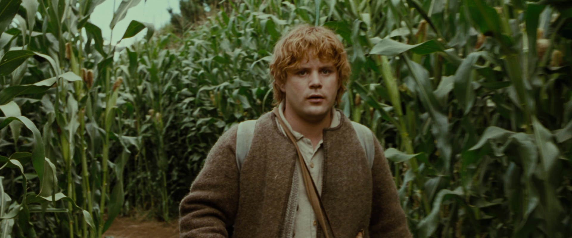 The Lord of the Rings: The Fellowship of the Ring (2001) screencap 5919