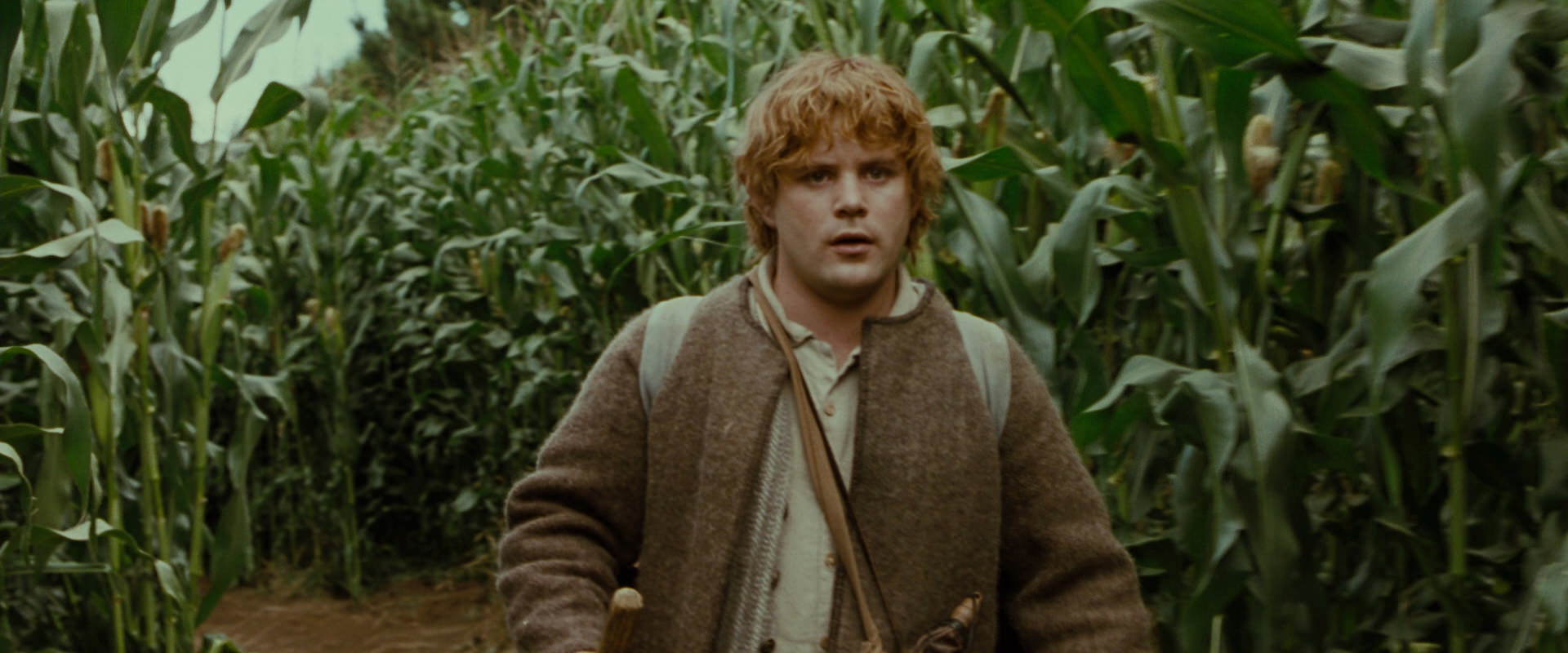 The Lord of the Rings: The Fellowship of the Ring (2001) movie still 5920