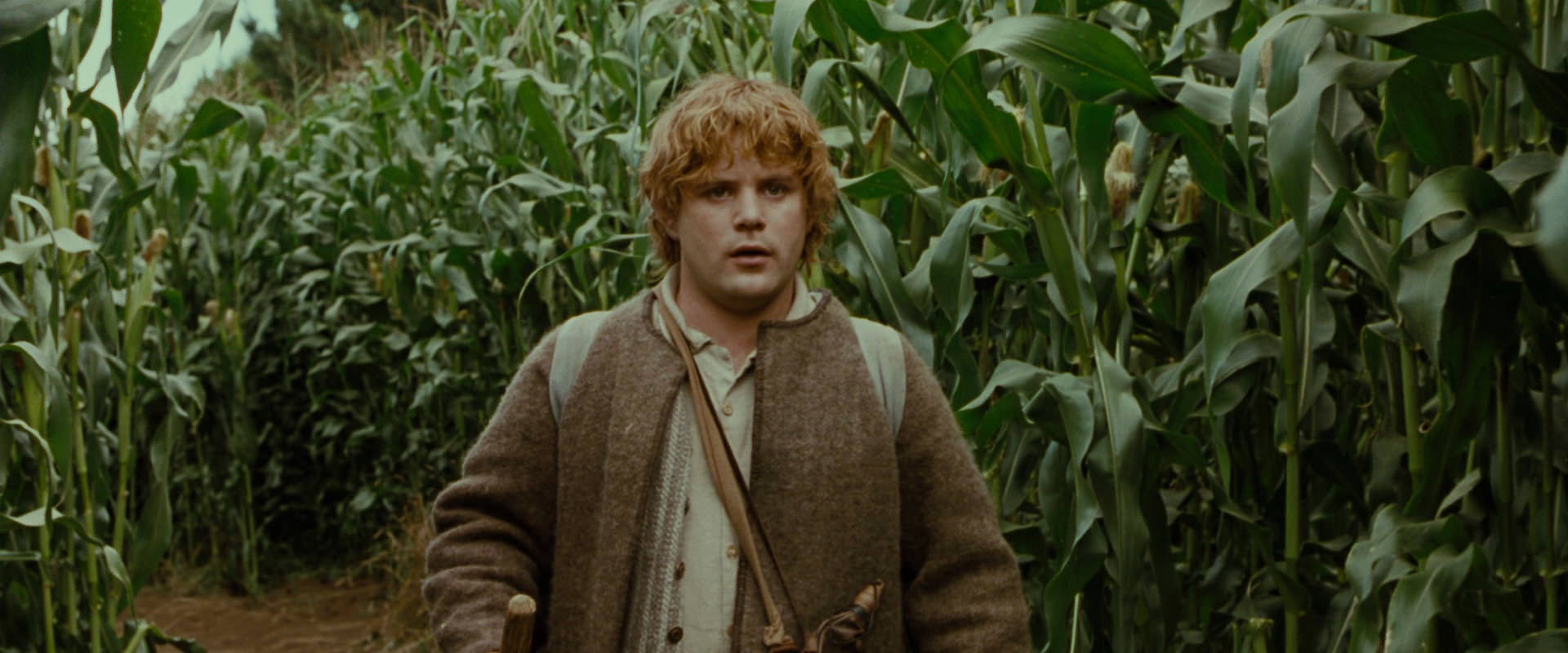 The Lord of the Rings: The Fellowship of the Ring (2001) HD screenshot 5921