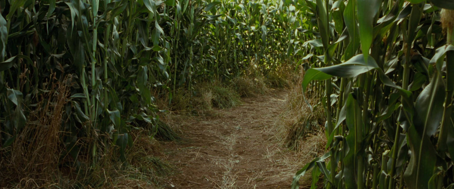 The Lord of the Rings: The Fellowship of the Ring (2001) movie still 5923