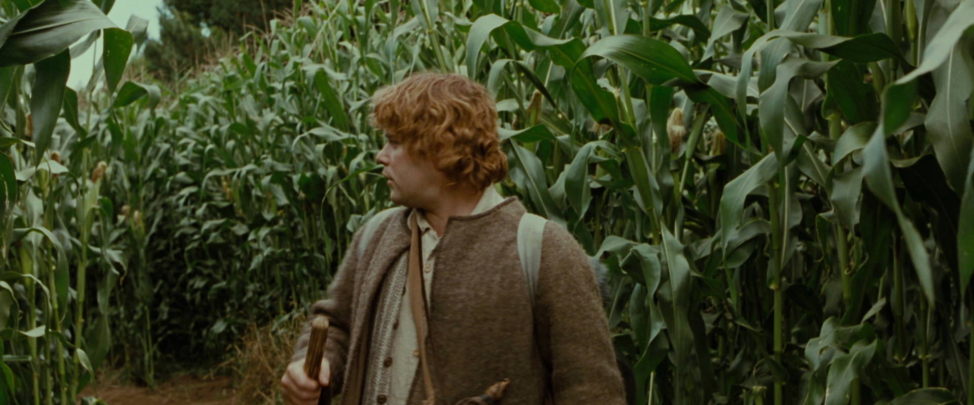 The Lord of the Rings: The Fellowship of the Ring (2001) HD screenshot 5924