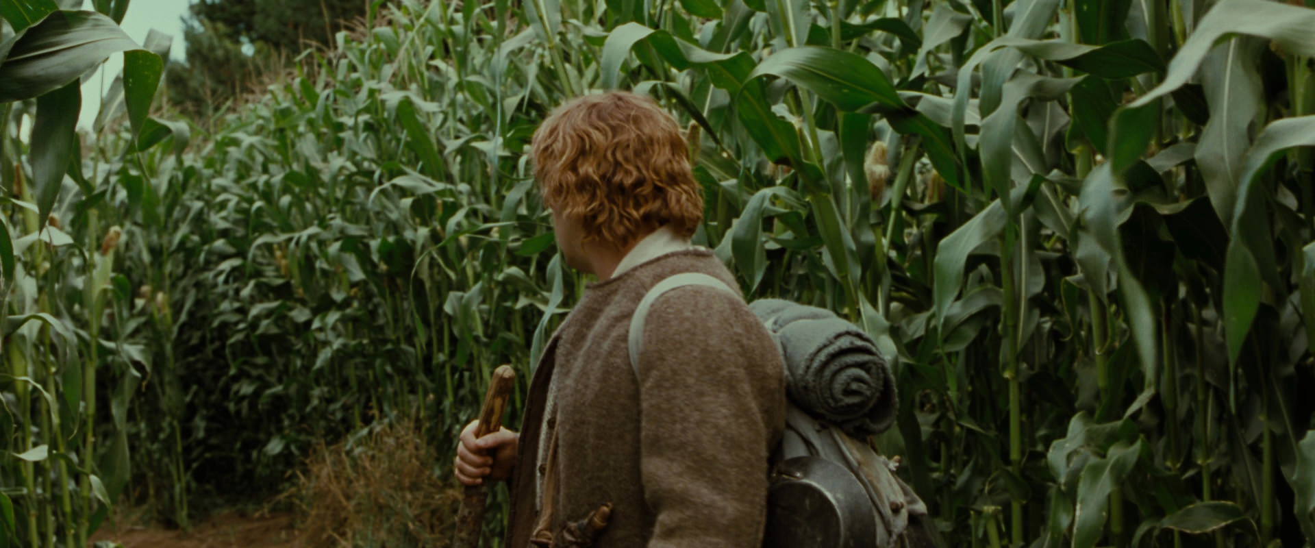 The Lord of the Rings: The Fellowship of the Ring (2001) screencap 5925