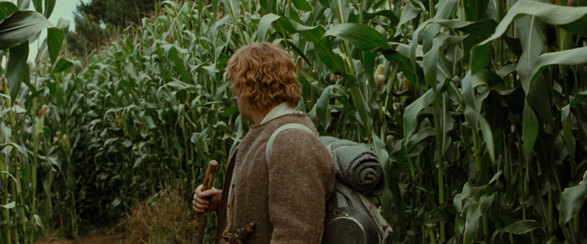 The Lord of the Rings: The Fellowship of the Ring (2001) movie still 5926