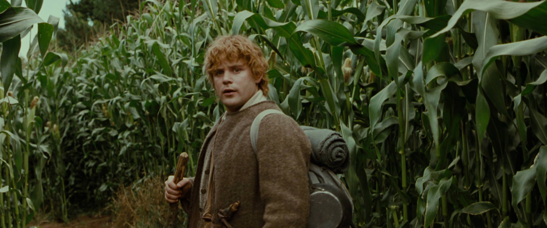 The Lord of the Rings: The Fellowship of the Ring (2001) HD screenshot 5927