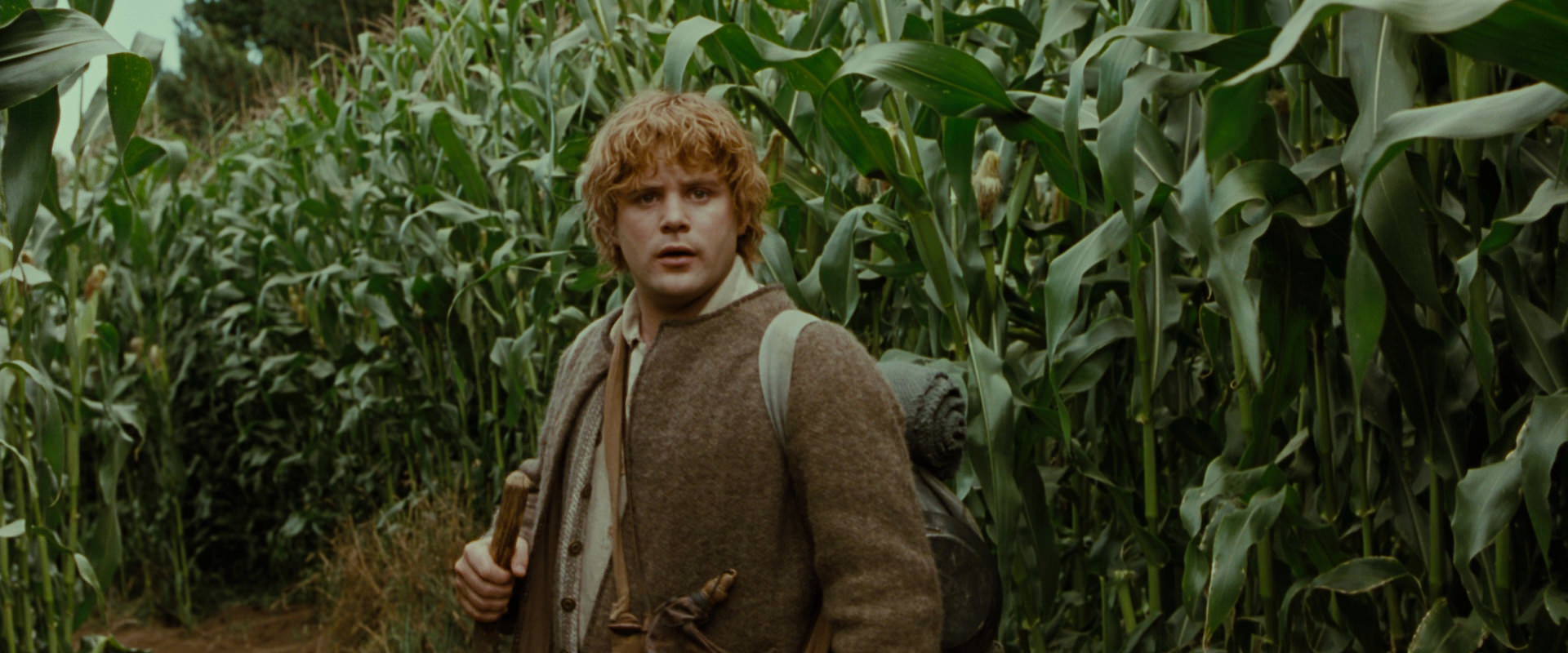 The Lord of the Rings: The Fellowship of the Ring (2001) screencap 5928