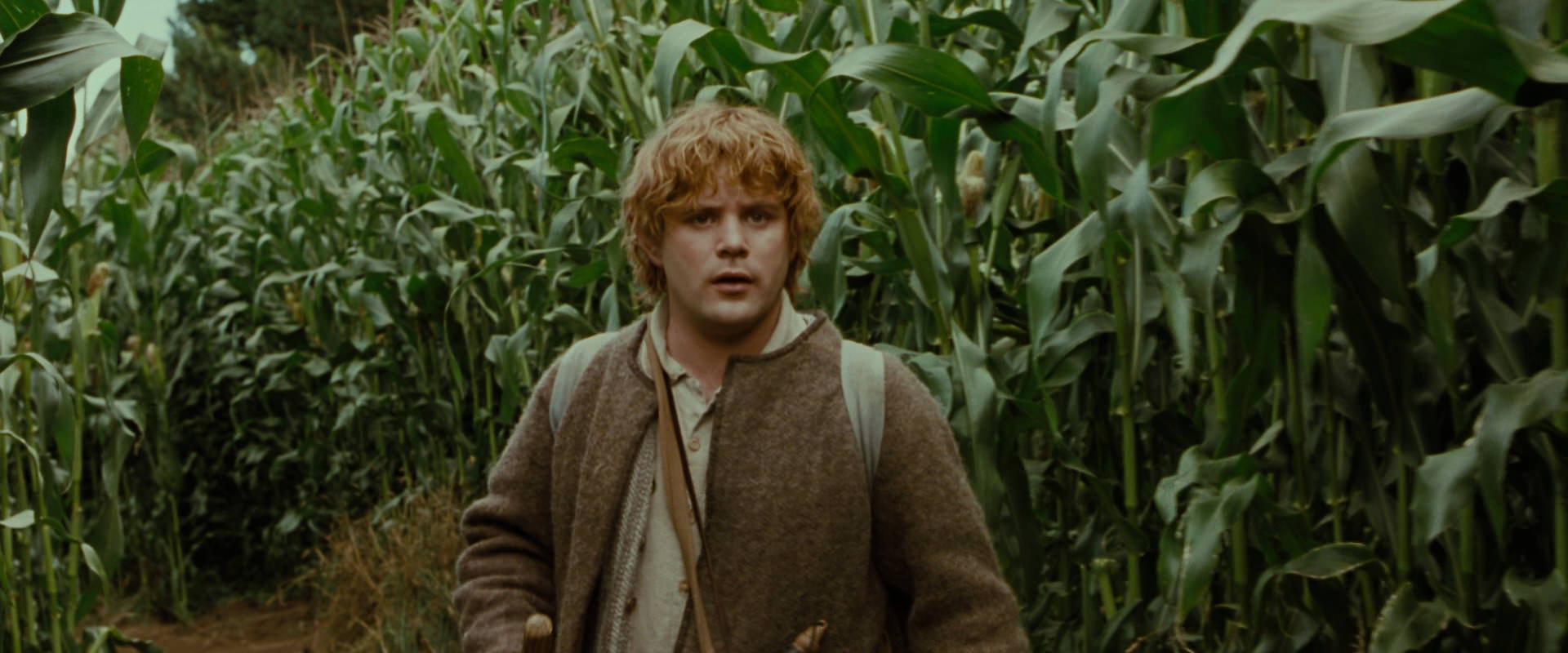 The Lord of the Rings: The Fellowship of the Ring (2001) movie still 5929