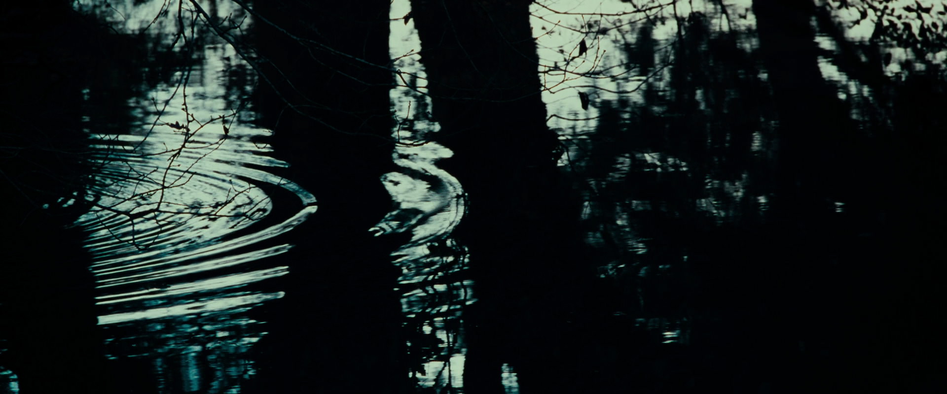 The Lord of the Rings: The Fellowship of the Ring (2001) HD screenshot 593