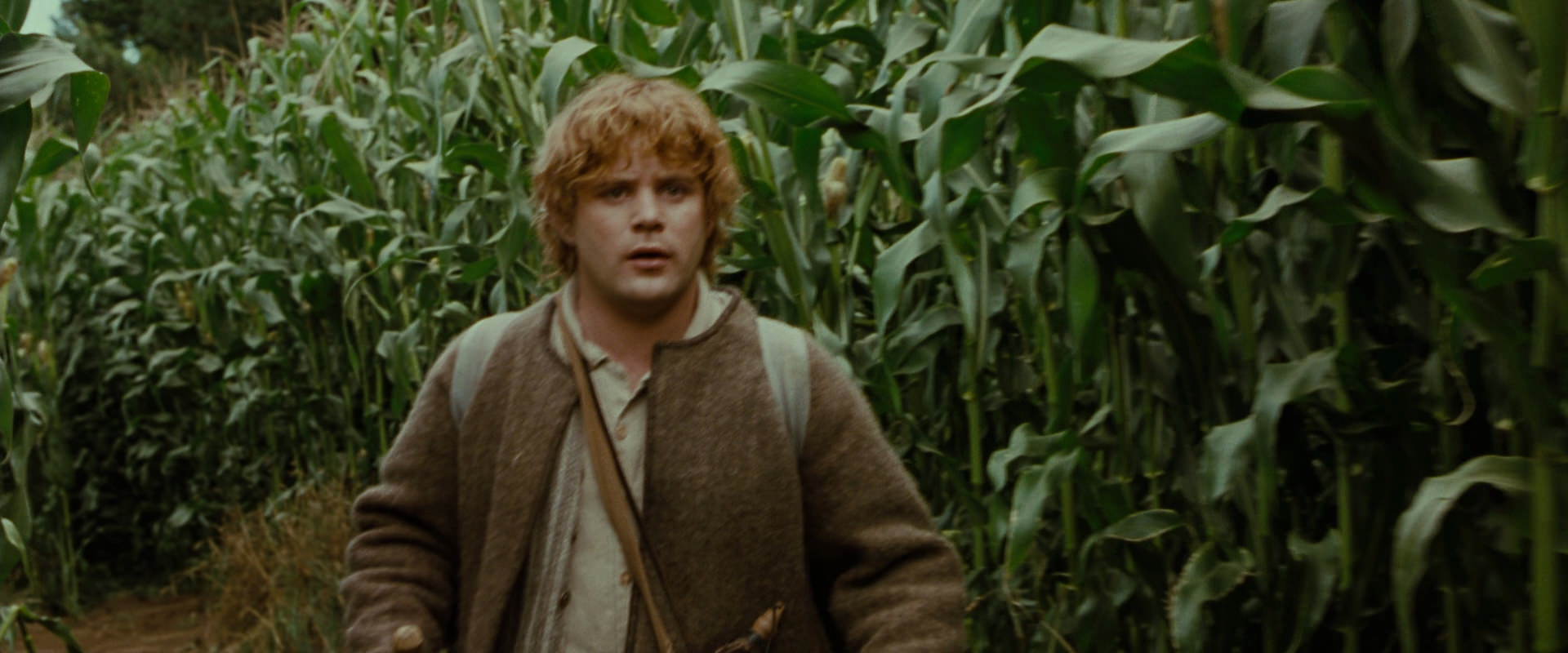 The Lord of the Rings: The Fellowship of the Ring (2001) HD screenshot 5930