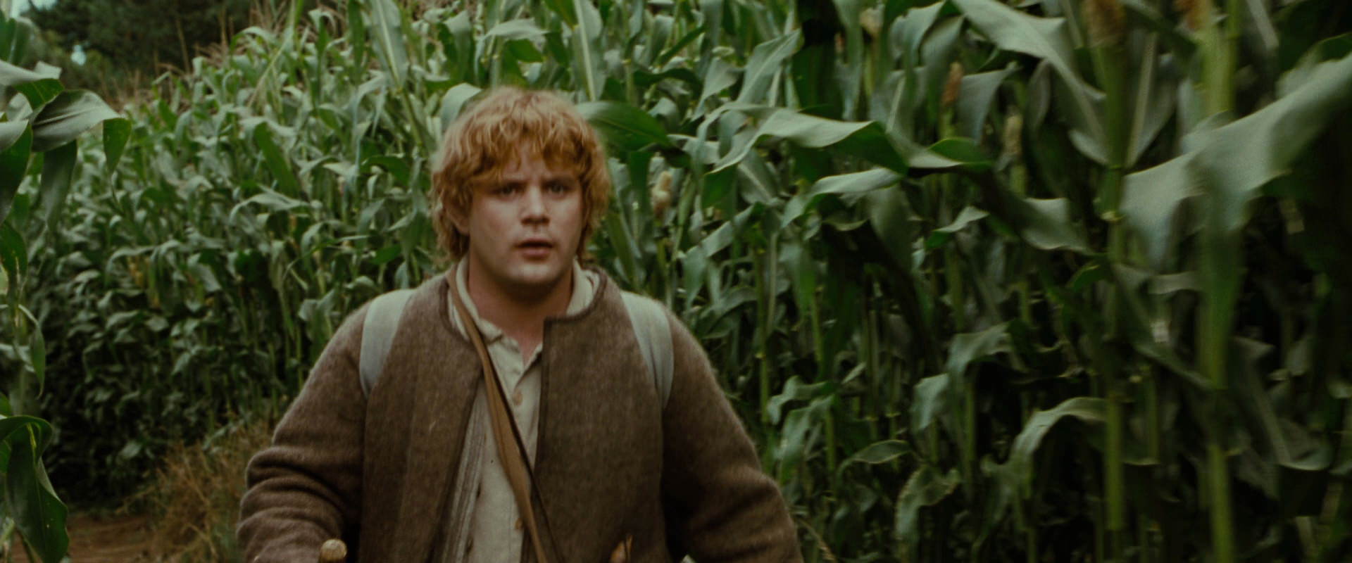The Lord of the Rings: The Fellowship of the Ring (2001) screencap 5931