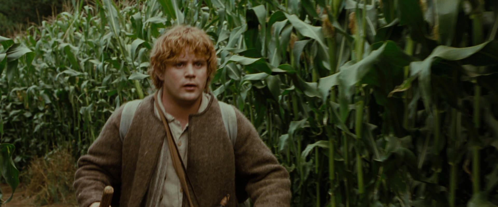 The Lord of the Rings: The Fellowship of the Ring (2001) movie still 5932