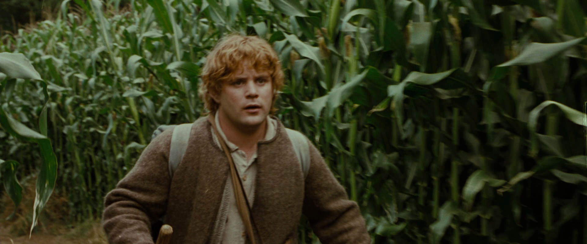 The Lord of the Rings: The Fellowship of the Ring (2001) HD screenshot 5933