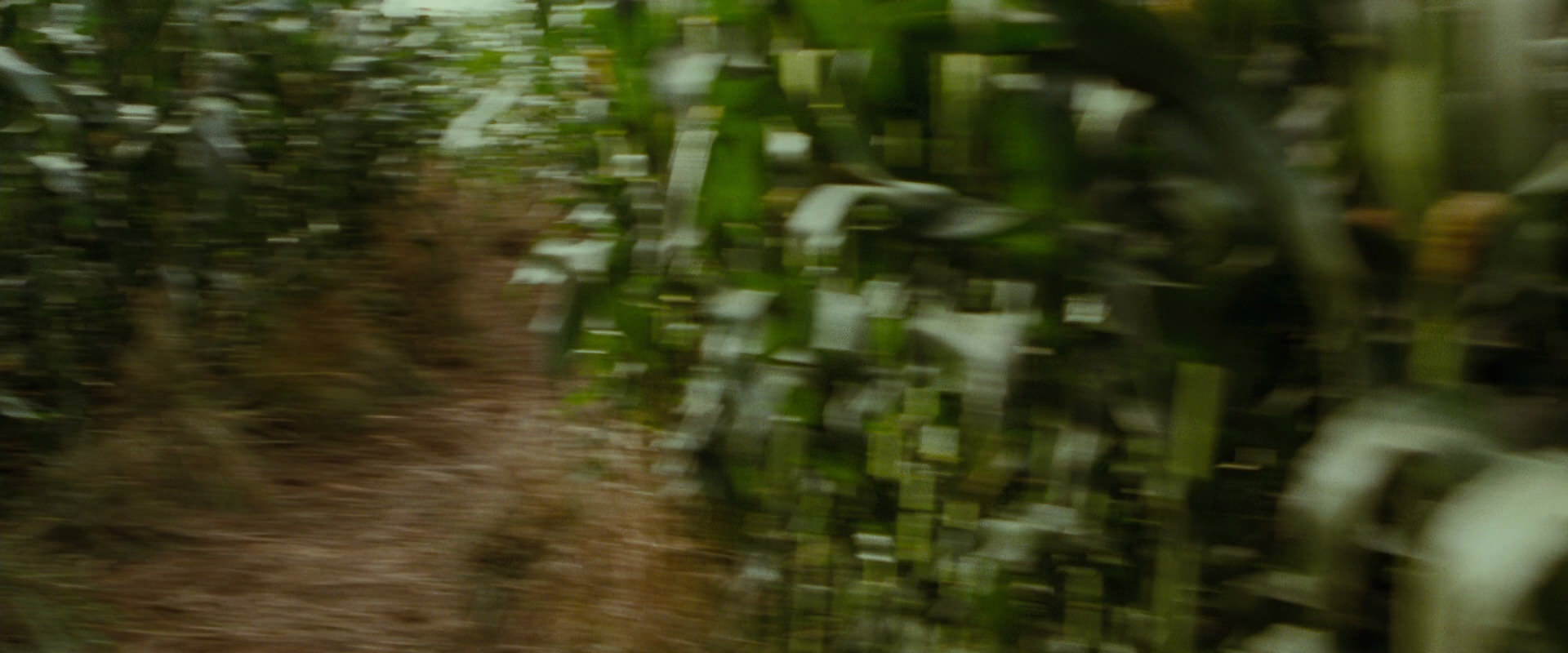 The Lord of the Rings: The Fellowship of the Ring (2001) screencap 5934