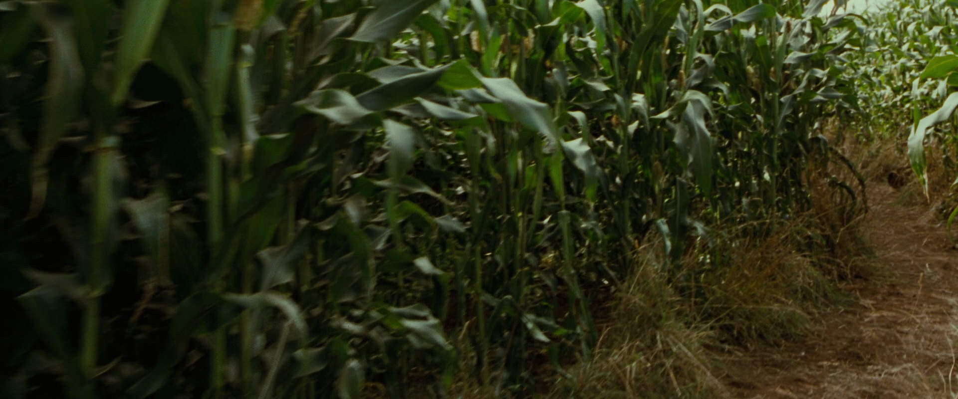 The Lord of the Rings: The Fellowship of the Ring (2001) HD screenshot 5936