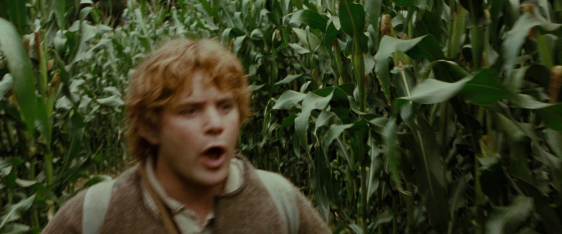 The Lord of the Rings: The Fellowship of the Ring (2001) movie still 5938
