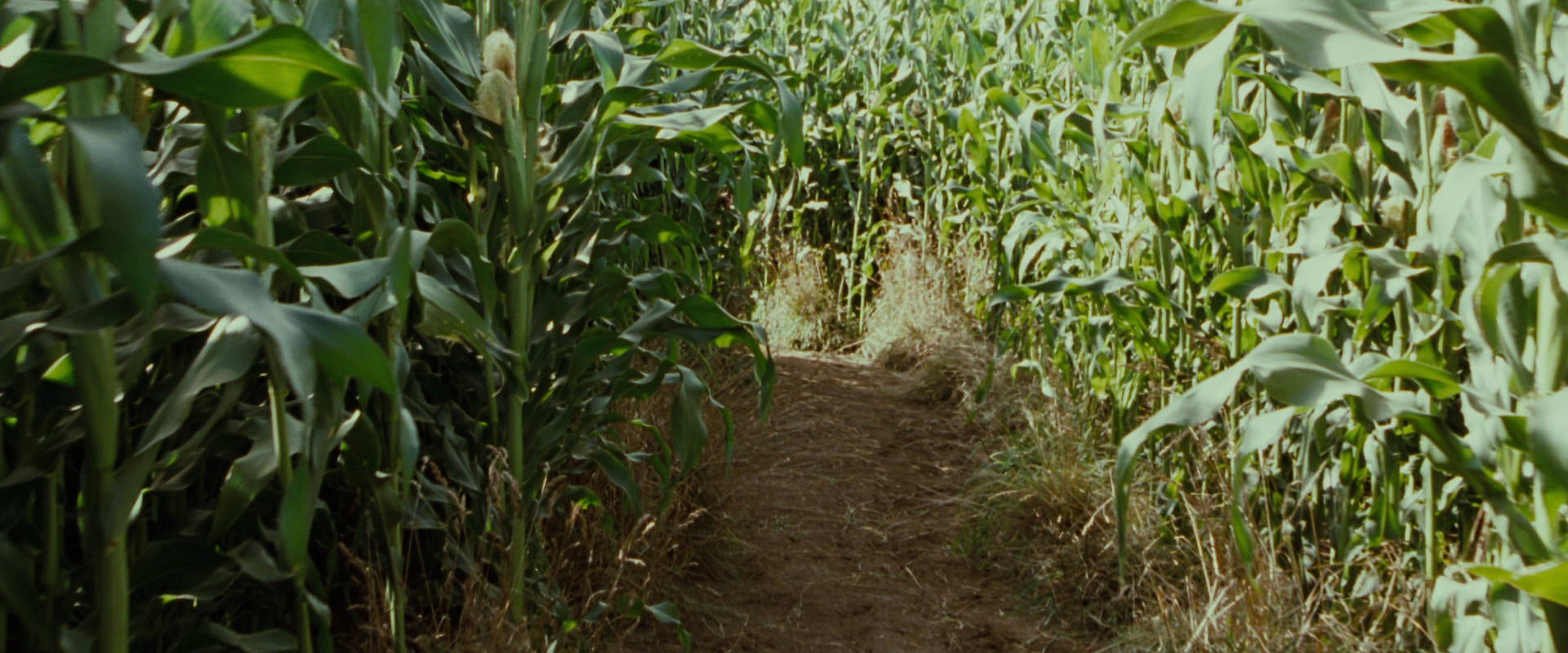 The Lord of the Rings: The Fellowship of the Ring (2001) HD screenshot 5939