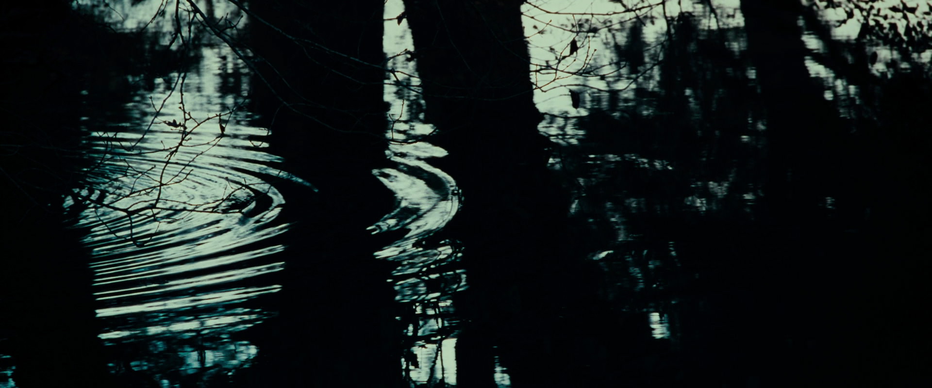 The Lord of the Rings: The Fellowship of the Ring (2001) screencap 594
