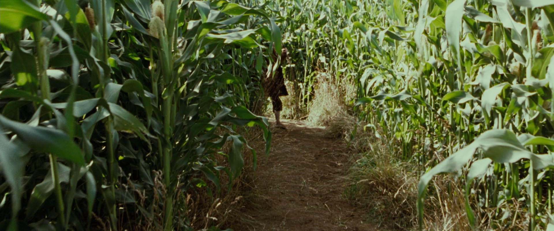 The Lord of the Rings: The Fellowship of the Ring (2001) screencap 5940