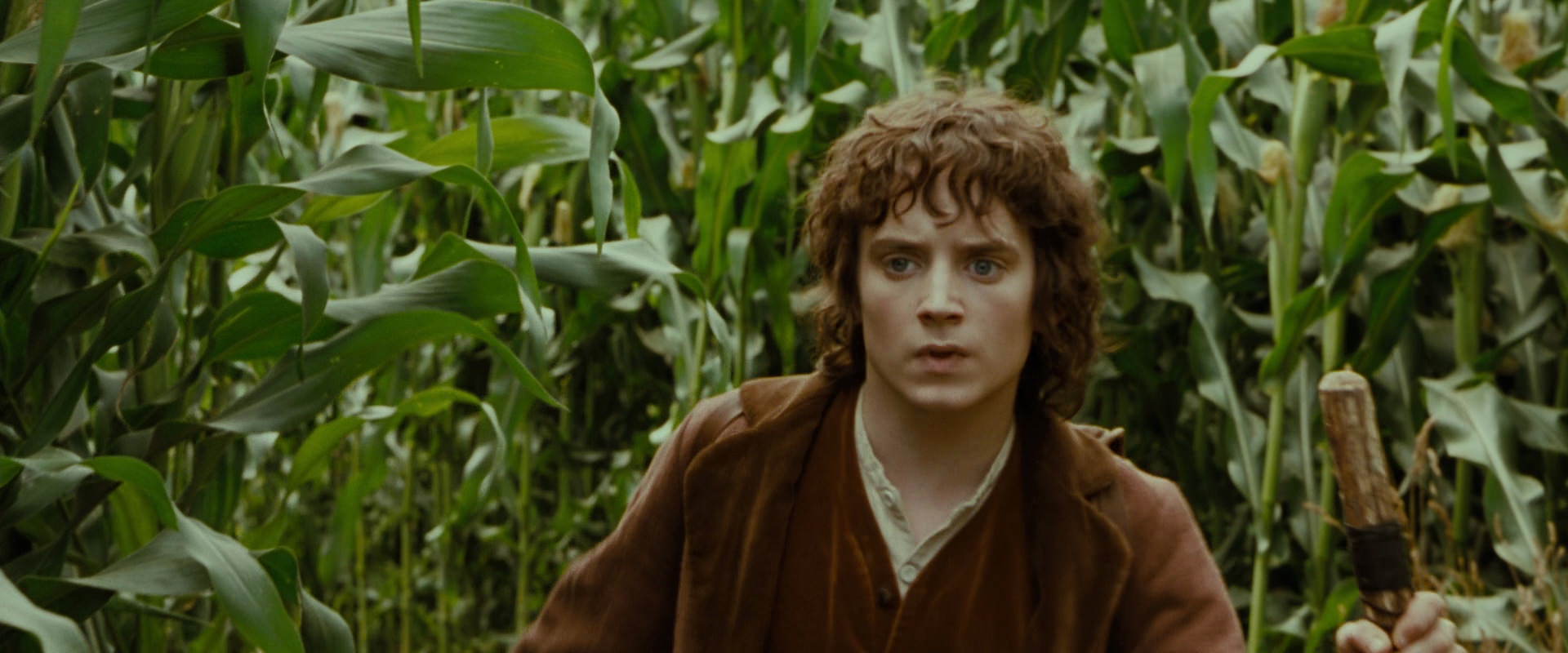 The Lord of the Rings: The Fellowship of the Ring (2001) movie still 5941