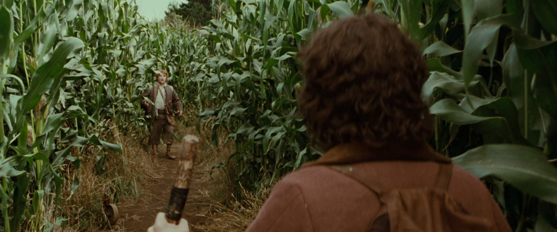 The Lord of the Rings: The Fellowship of the Ring (2001) HD screenshot 5942