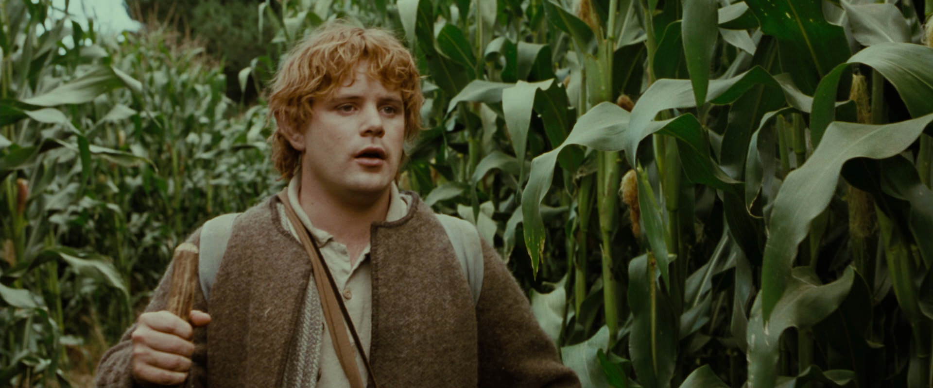 The Lord of the Rings: The Fellowship of the Ring (2001) screencap 5943
